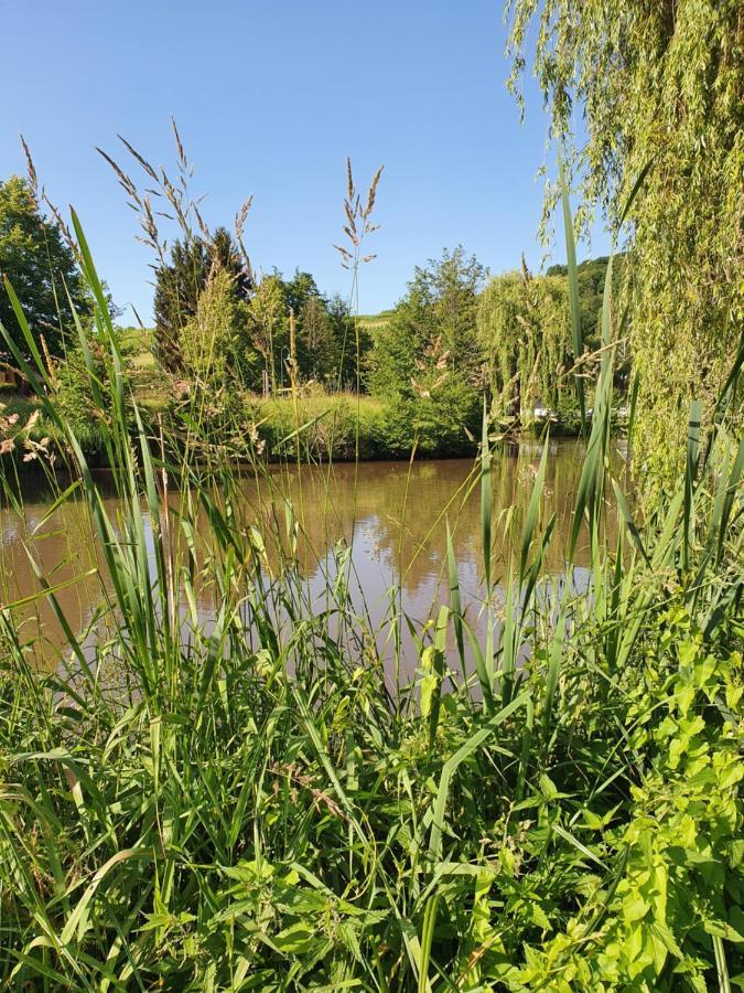 Alte Goldschmiede Suedpfalz Klingenmünster Exteriör bild